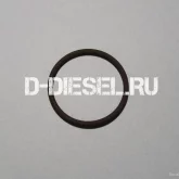 d-diesel фотография 6